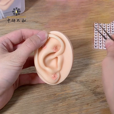 Điều trị tai bằng hạt tai Vaccaria Thiết bị y học Trung Quốc Và bổ sung thảo dược truyền thống của Trung Quốc