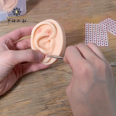 Hạt giống Vaccaria chỉ bên ngoài tự nhiên với ngày hết hạn 3 năm