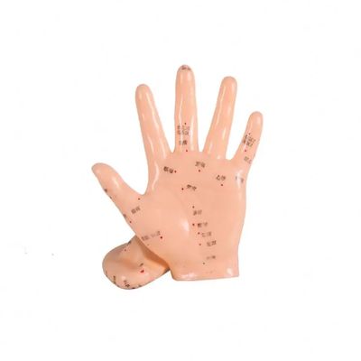 Mô hình cơ thể châm cứu Các khớp linh hoạt để định vị thực tế và dễ dàng làm sạch bề mặt trong đào tạo