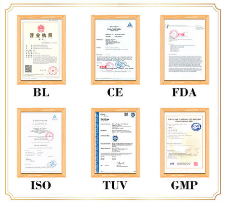 Chi tiết và thực tế đại diện của cơ thể con người Châm cứu mô hình cơ thể Đèn nhẹ và dễ vận chuyển