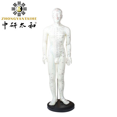 Mô hình cơ thể meridian châm cứu thực tế với vỏ xách
