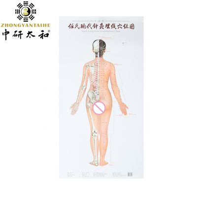 Văn hóa châm cứu cá nhân khai thác khả năng chữa bệnh tự nhiên của cơ thể với châm cứu