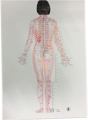 Thuốc truyền thống Trung Quốc cá nhân hóa - Điều trị an toàn và hiệu quả