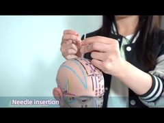 Kim châm nhĩ châm Hwato thúc đẩy tuần hoàn máu hiệu quả 0.22*1.5mm